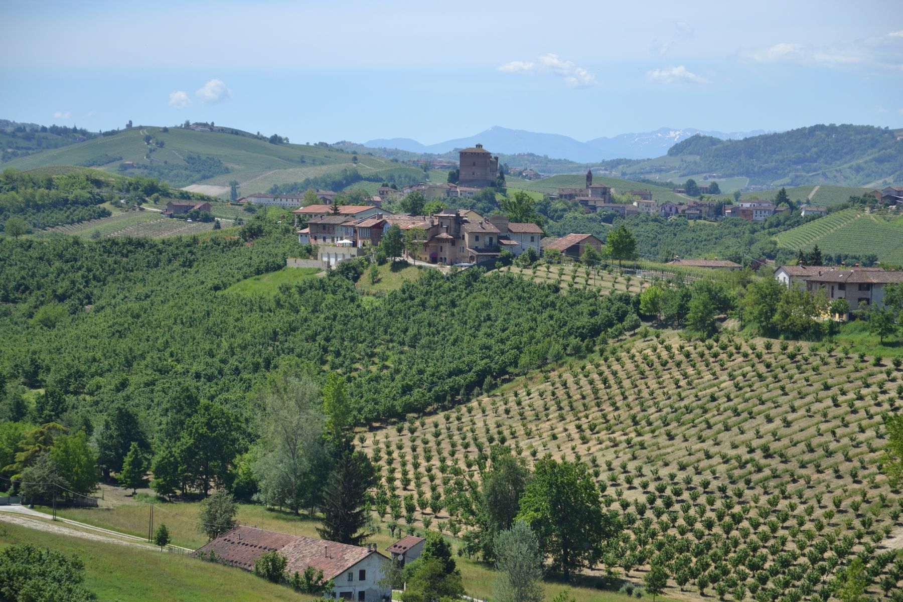 Vineyards and a village in Piedmont, Italy